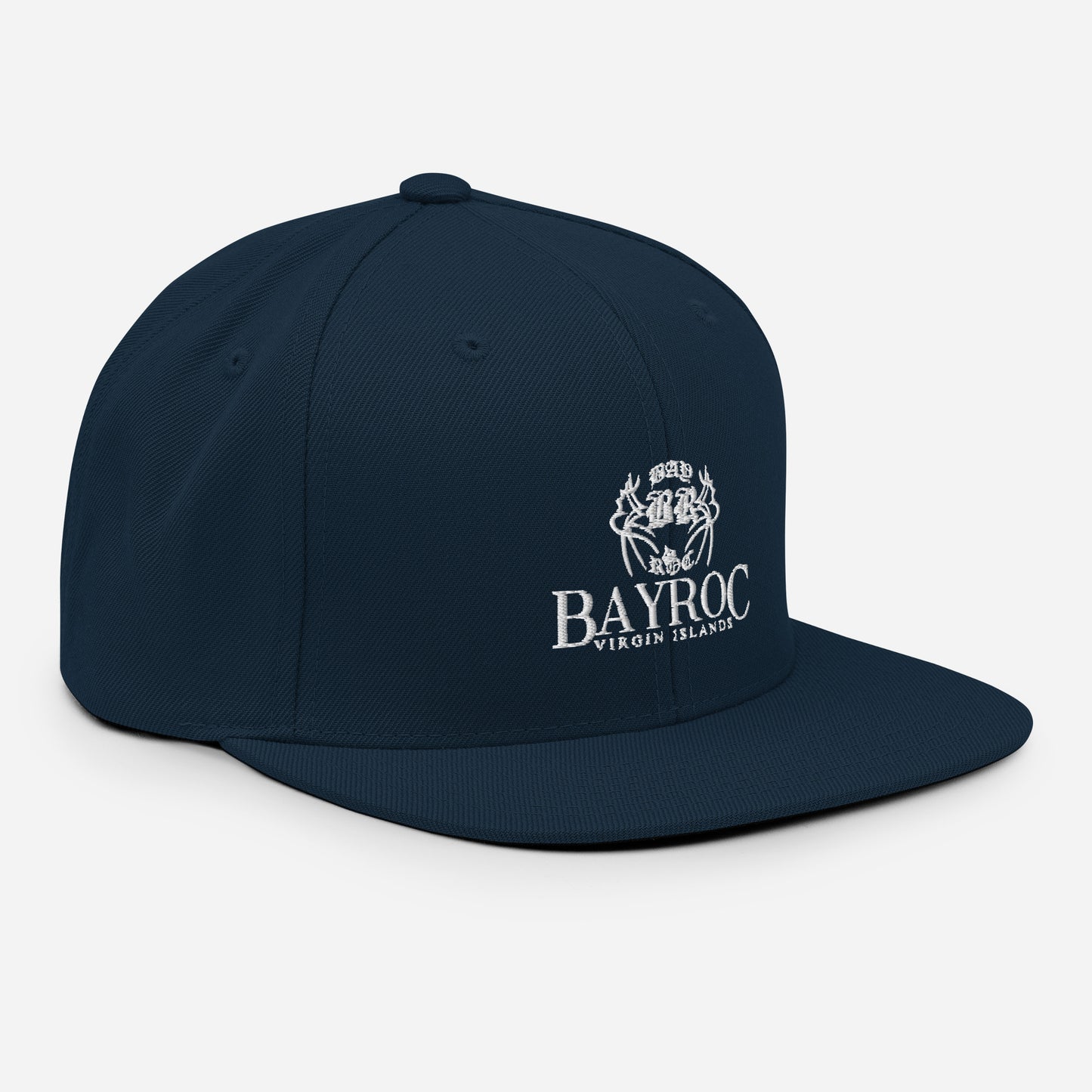 Snapback Logo Hat