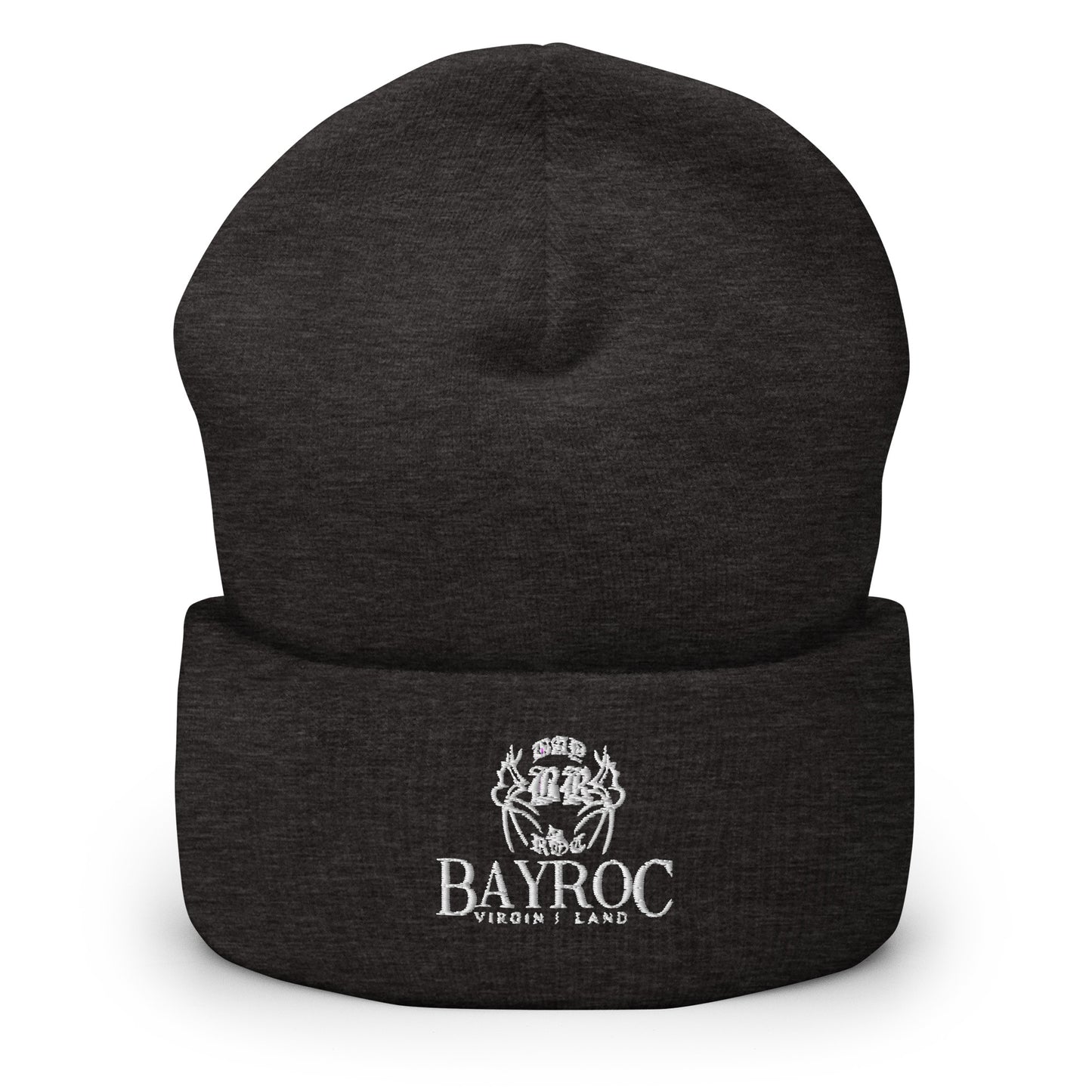 Cuffed Logo Beanie